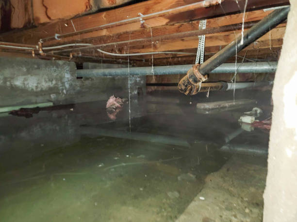 Best Flood restoration services  in Pleasantdale, NJ