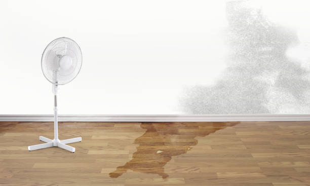 Best Sewage cleanup and water damage restoration  in Pleasantdale, NJ