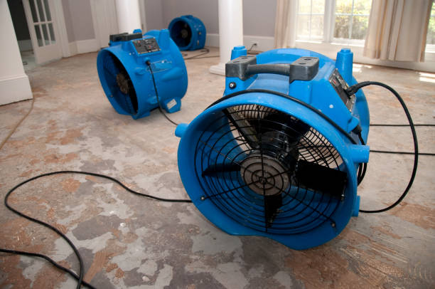 Best Mold removal after water damage  in Pleasantdale, NJ