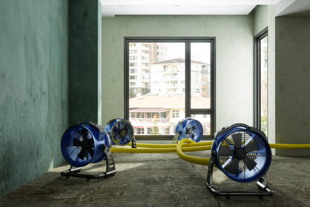 Best Fire Damage Restoration  in Pleasantdale, NJ